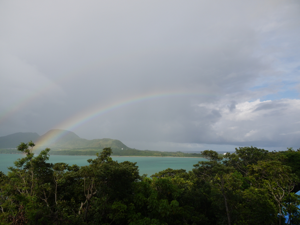 f:id:rgf15614:20110710171931j:image:w640:left