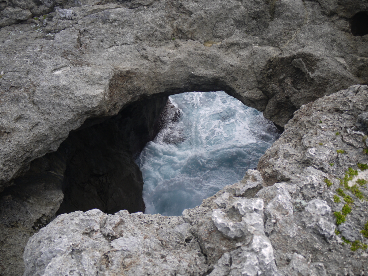 f:id:rgf15614:20110711111901j:image:w360:left