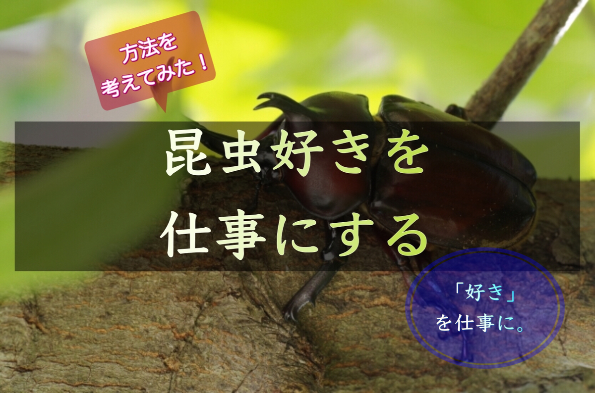 昆虫好きを仕事に 虫に関わる職業9選 あ るぐれいはいかが 昆虫好きを仕事に 虫に関わる職業9選 あ るぐれいはいかが