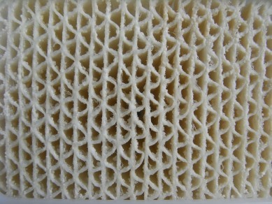 f:id:rhea:20081228180150j:image