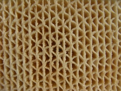 f:id:rhea:20081228180152j:image