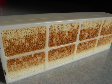 f:id:rhea:20081228180155j:image