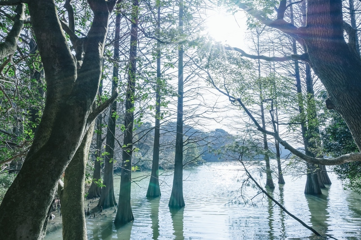 f:id:rhythm77:20190324000348j:plain f:id:rhythm77:20190324000348j:plain