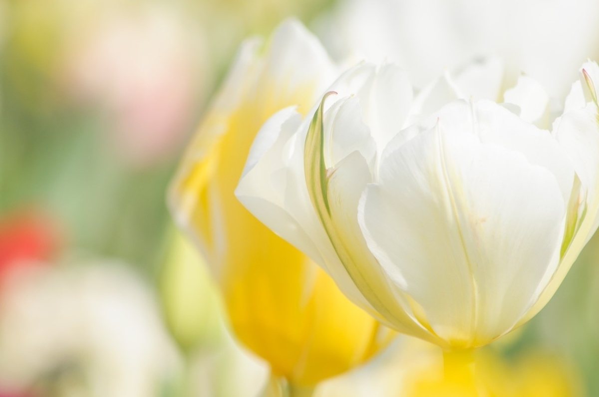 f:id:rhythm77:20190326001635j:plain f:id:rhythm77:20190326001635j:plain
