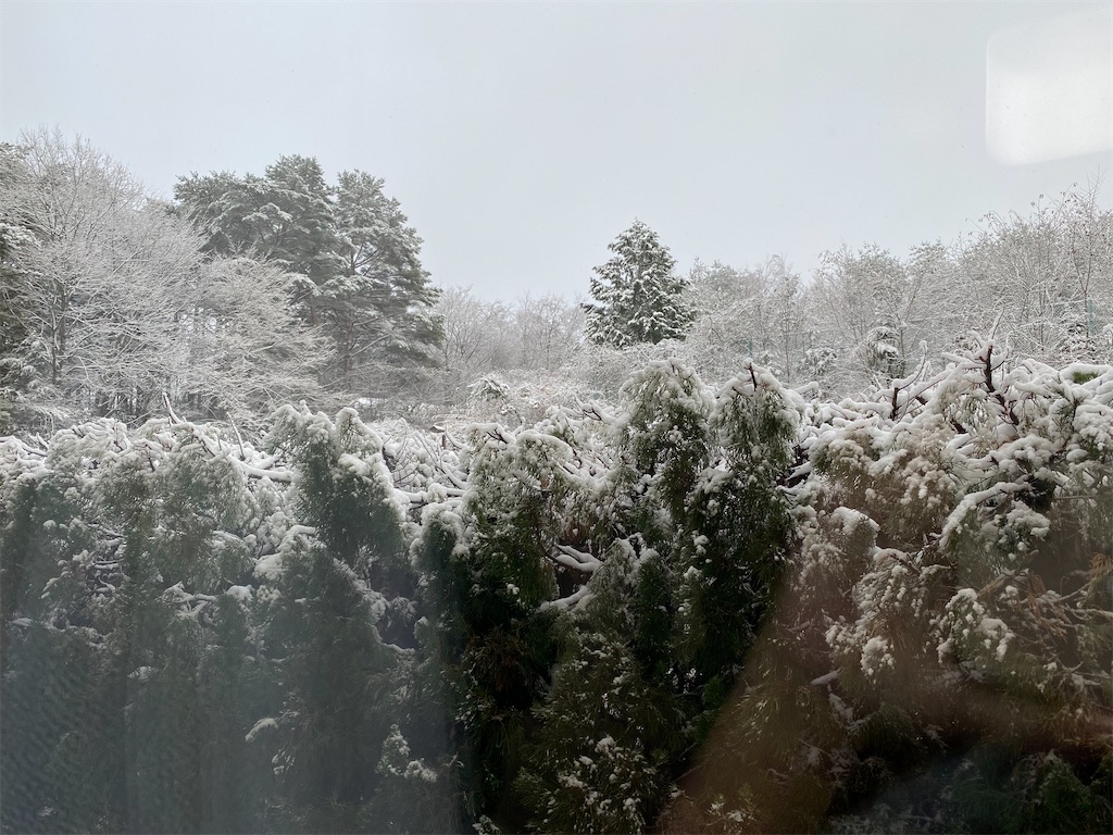 f:id:ri-1231:20221214200626j:image f:id:ri-1231:20221214200626j:image