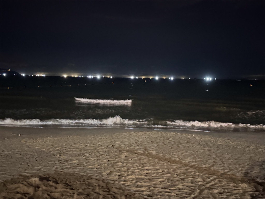 f:id:ri-1231:20240921154521j:image f:id:ri-1231:20240921154521j:image
