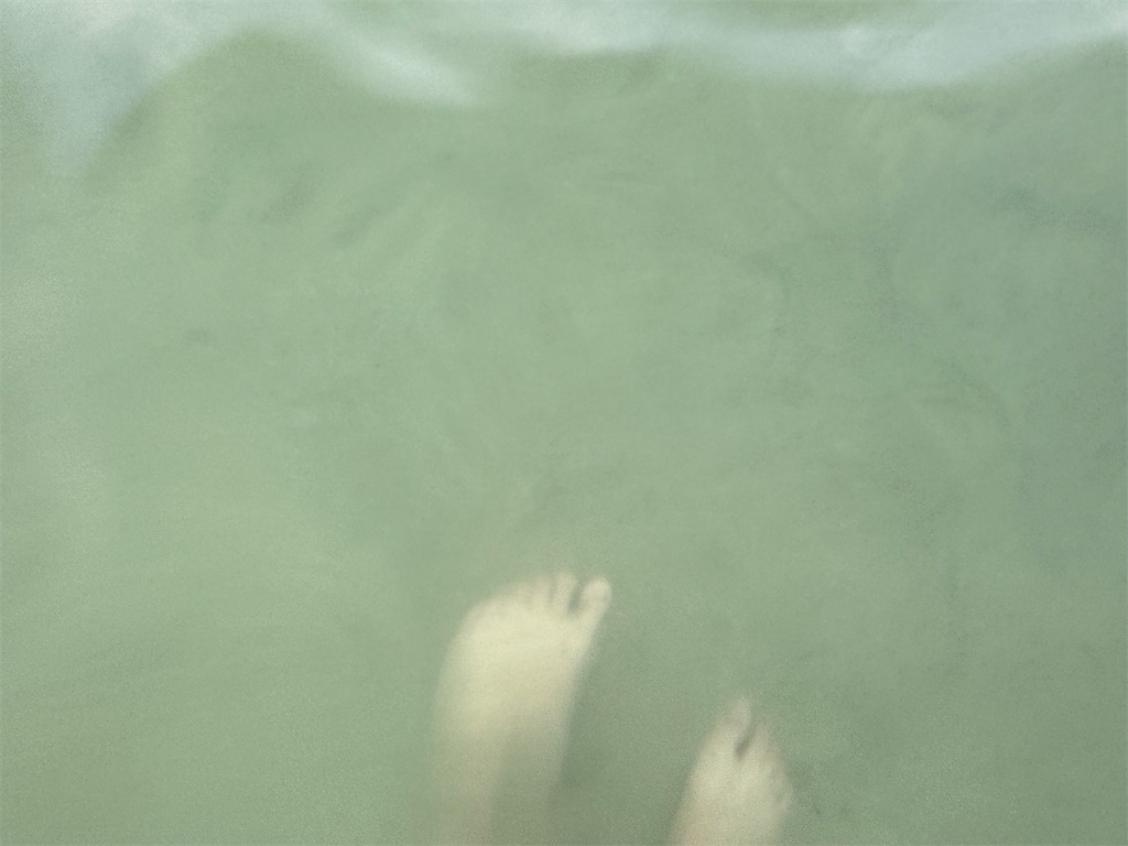 f:id:ri-1231:20240923120847j:image f:id:ri-1231:20240923120847j:image
