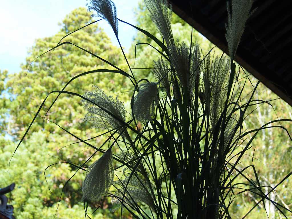 f:id:ri-nnji-nn:20160826165021j:plain f:id:ri-nnji-nn:20160826165021j:plain
