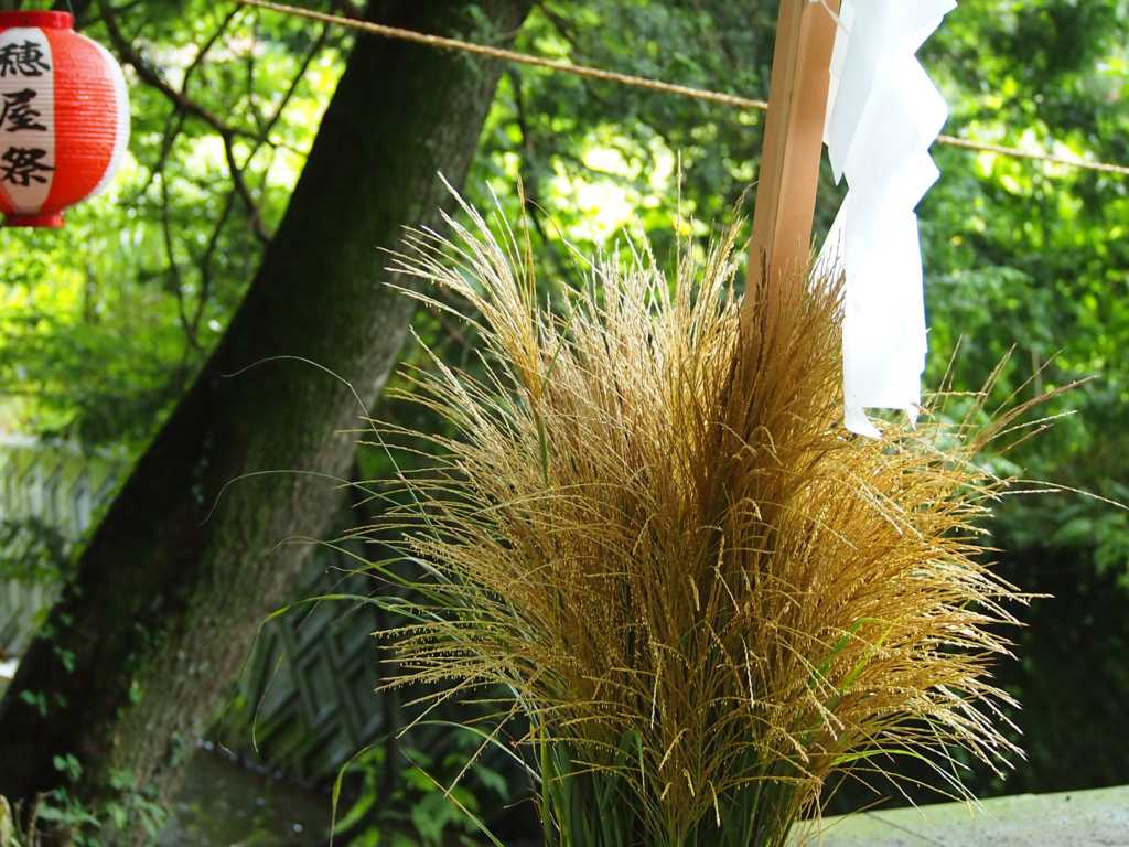 f:id:ri-nnji-nn:20160827154821j:plain
