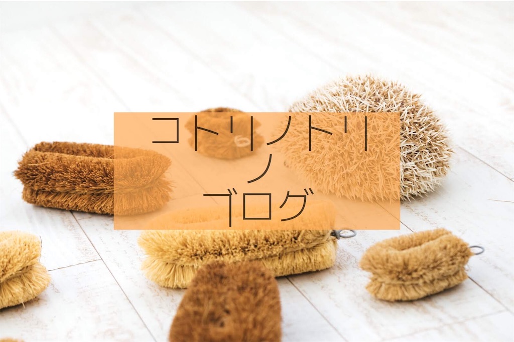 f:id:ri0ra3_ku0ma9157:20201218175918j:image f:id:ri0ra3_ku0ma9157:20201218175918j:image