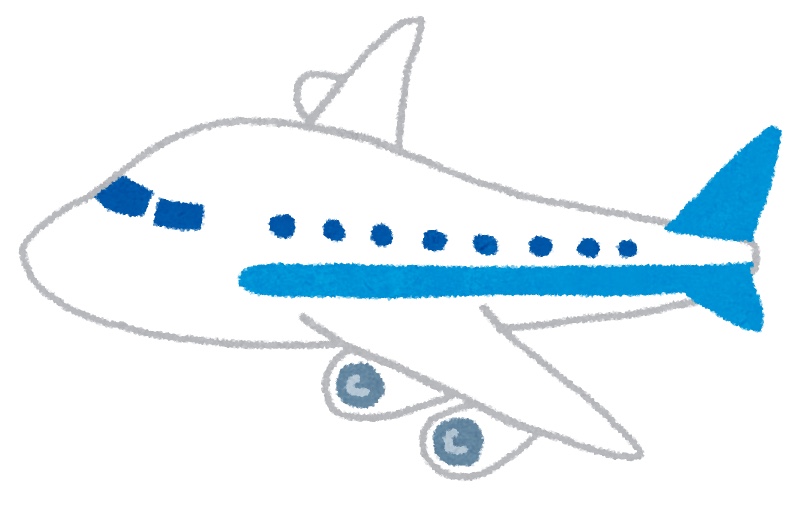 1歳児 大号泣の飛行機デビュー 機内の様子や過ごし方 りーママの子育てブログ 1歳児 大号泣の飛行機デビュー 機内の様子や過ごし方 りーママの子育てブログ