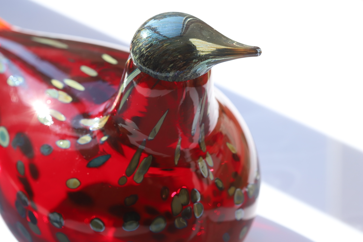 イッタラ バード オイバトイッカ ルビーバード ヌータヤルヴィ レッド