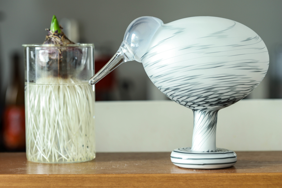  bird イッタラ バード Jewelled kiwi bird イッタラ バード Jewelled kiwi iittala Toikka Jeweled Kiwi