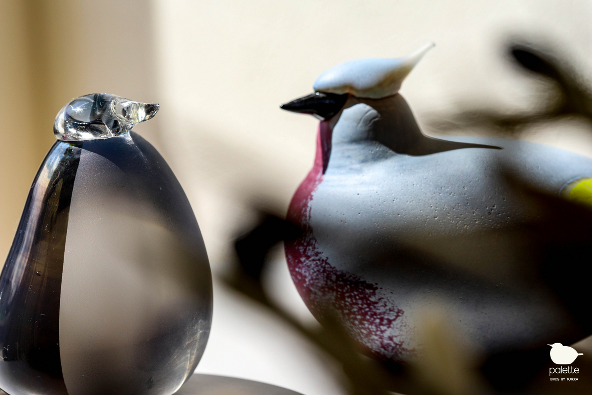  bird イッタラ バード フロストペンギン iittala bird イッタラ バード フロストペンギン