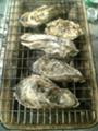[牡蠣]牡蠣焼いた２