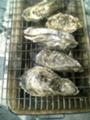 [牡蠣]牡蠣焼いた