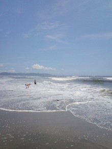 $yogaと出会ってから-090808_1238~01.jpg