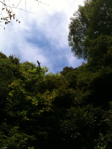 $yogaと出会ってから