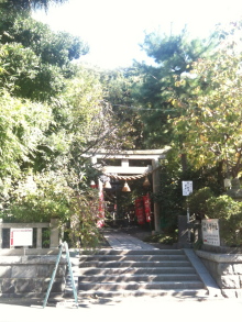 $yogaと出会ってから