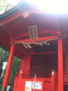 $yogaと出会ってから