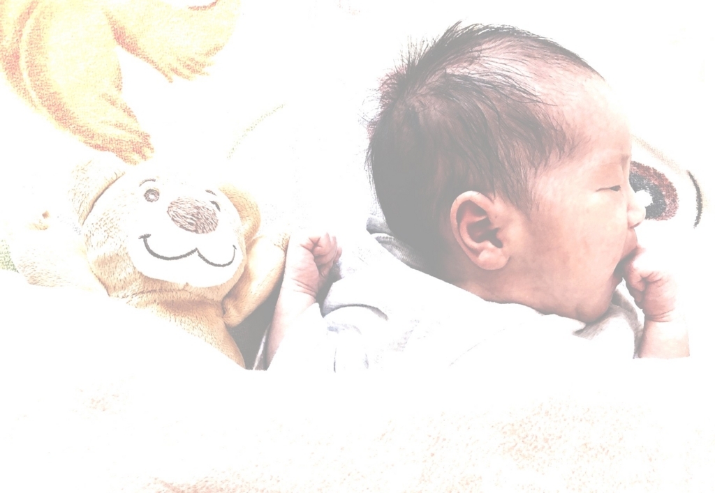 f:id:rians1mi:20180126101737j:plain