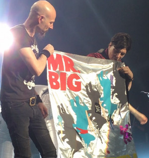 Mrbig_bannerlive Mrbig_bannerlive