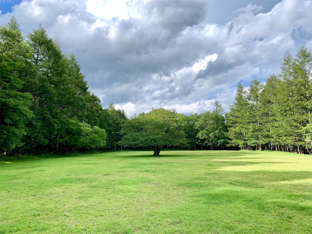 f:id:riboco:20190902221953j:image