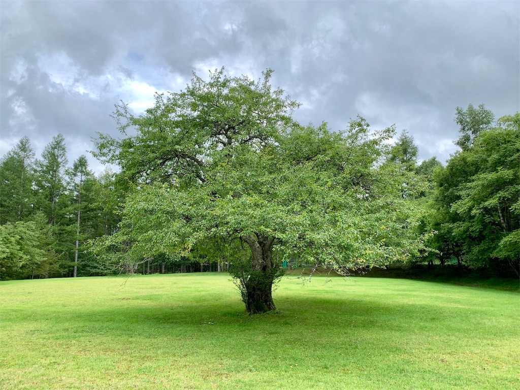 f:id:riboco:20190902222013j:image
