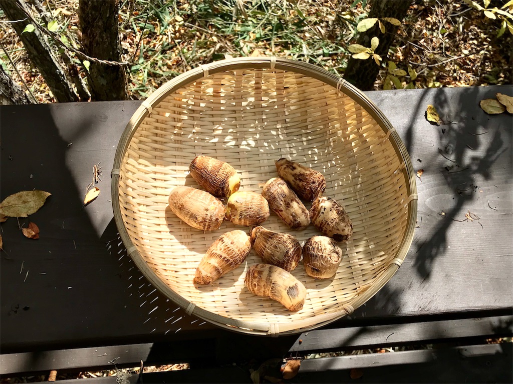 f:id:riboco:20190918153632j:image