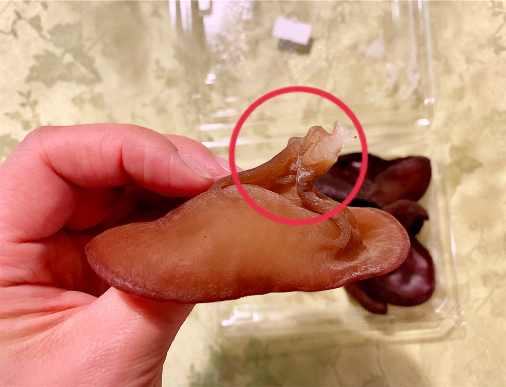 f:id:riboco:20190921204440j:image