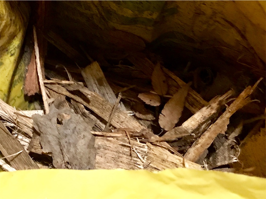f:id:riboco:20191130134121j:image