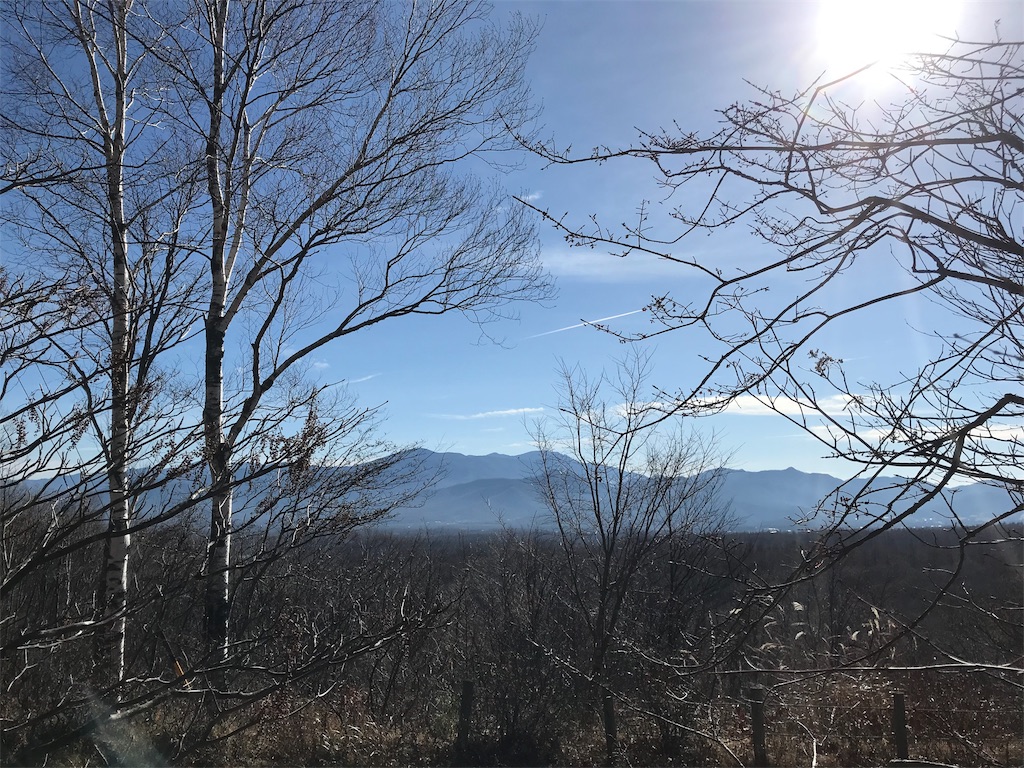f:id:riboco:20191130135416j:image