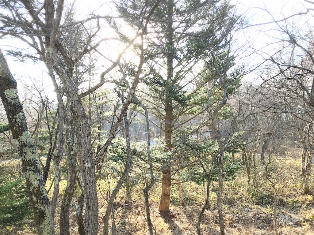 f:id:riboco:20191130135433j:image
