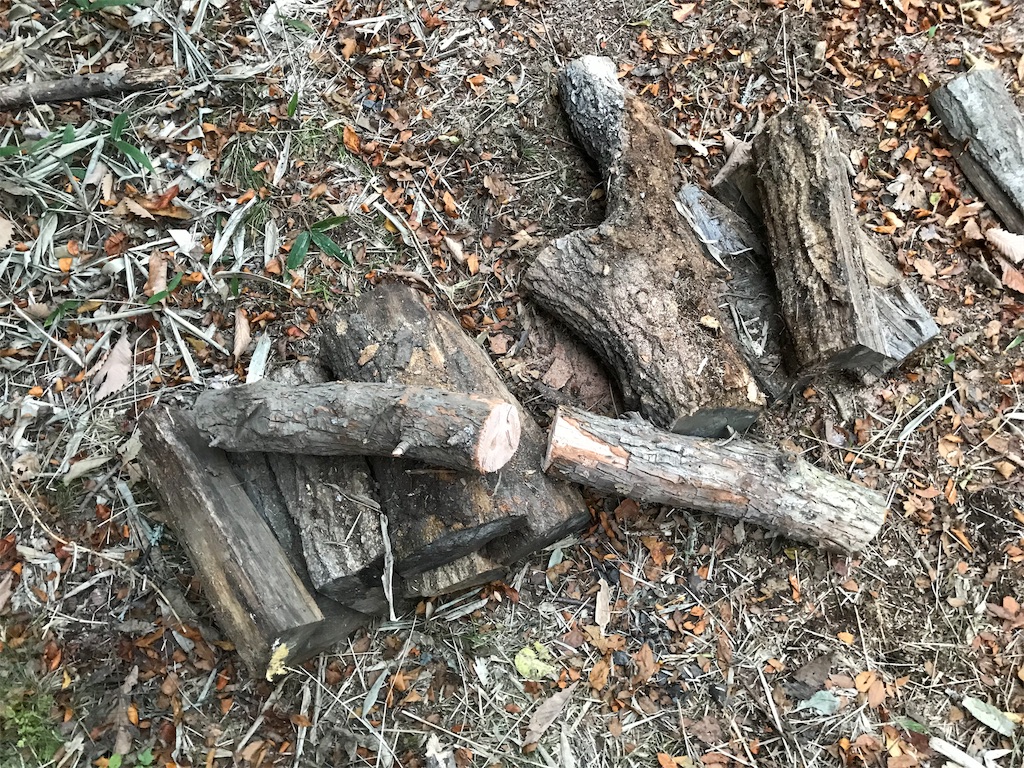 f:id:riboco:20191130135948j:image