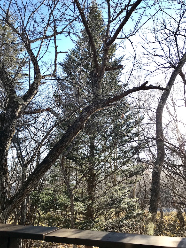 f:id:riboco:20191130140953j:image