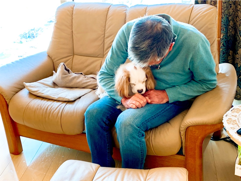 f:id:riboco:20191216203150j:image f:id:riboco:20191216203150j:image