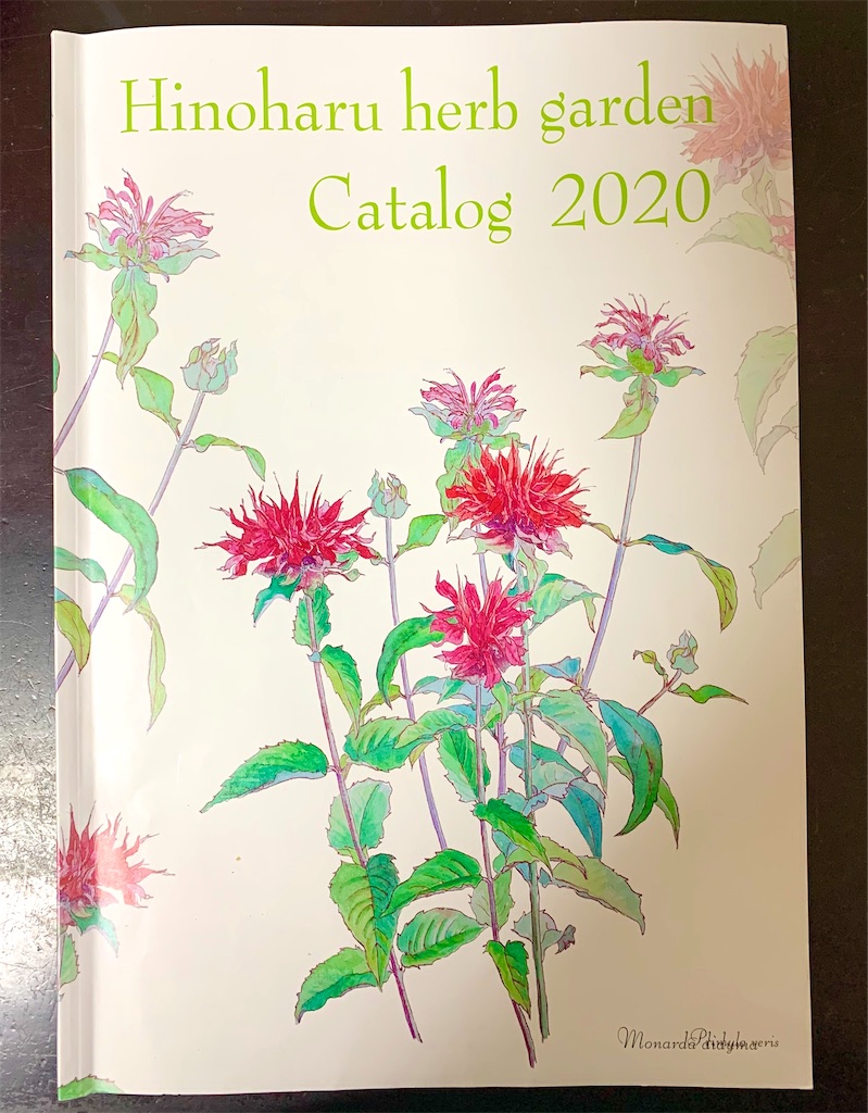 f:id:riboco:20200305131148j:image f:id:riboco:20200305131148j:image