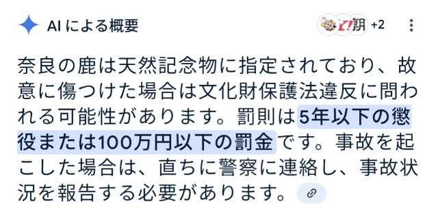 f:id:ribon888:20250611081705j:image