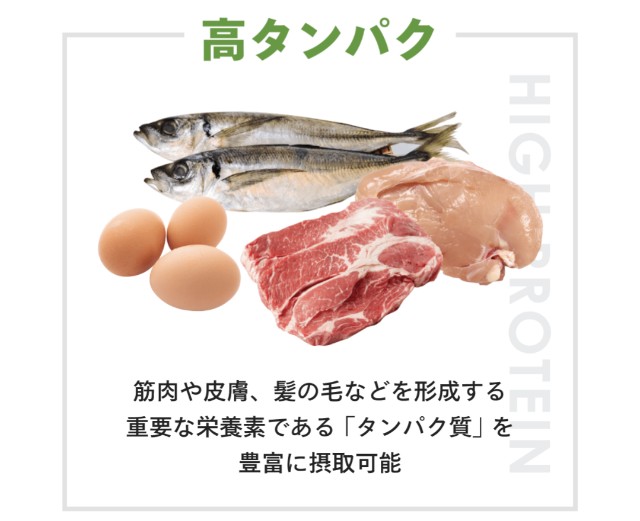 f:id:ribon888:20250625155817j:image