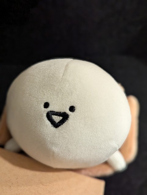 f:id:ribon888:20250626200720j:image