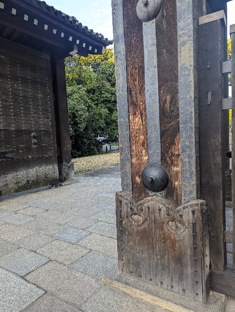 f:id:ribon888:20251011191142j:image