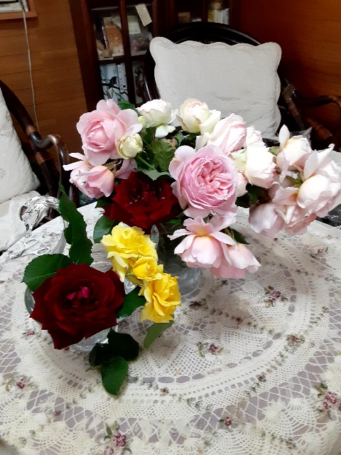 f:id:riboni5235:20210516100333j:image