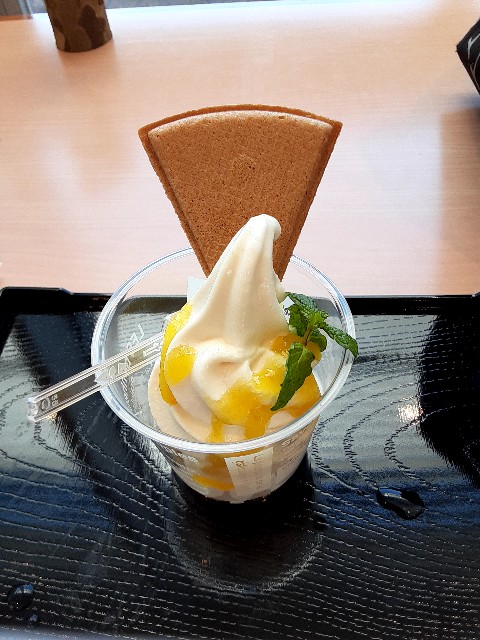 f:id:riboni5235:20210526074548j:image