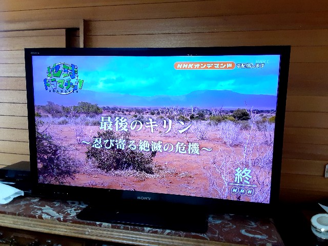 f:id:riboni5235:20210526074656j:image