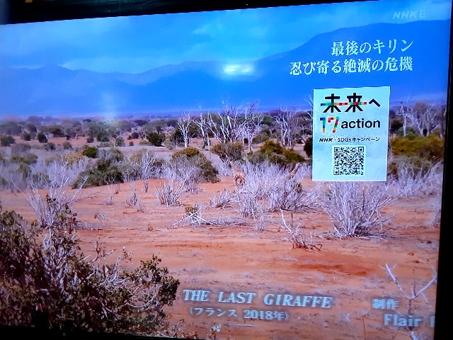 f:id:riboni5235:20210526074903j:image