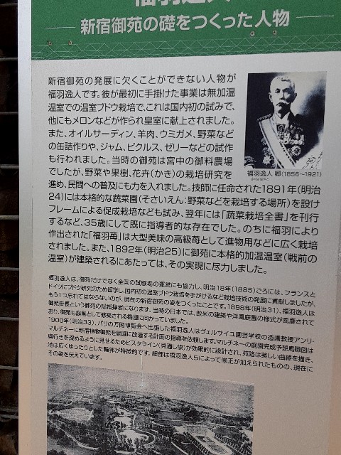 f:id:riboni5235:20210627131953j:image