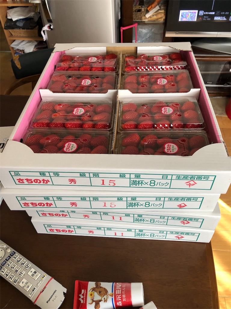 f:id:ricchan3838:20190330111005j:image f:id:ricchan3838:20190330111005j:image