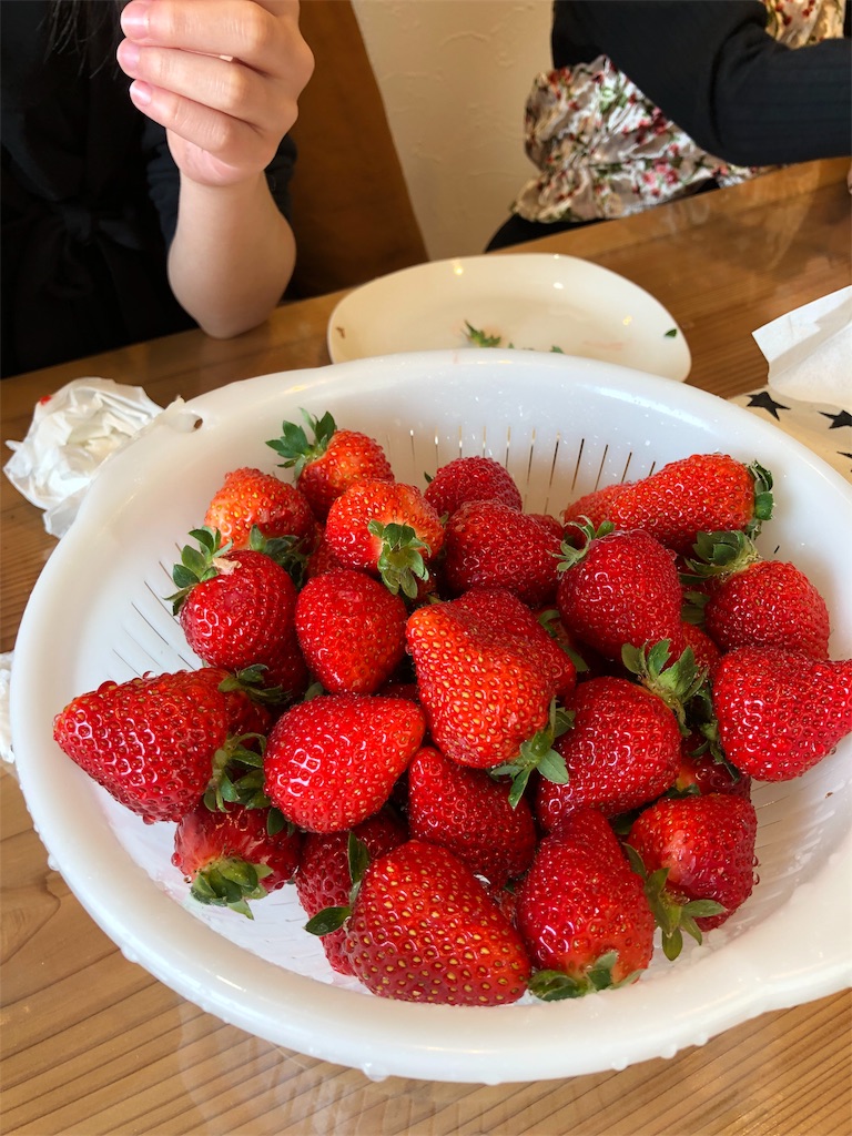 f:id:ricchan3838:20190330111018j:image f:id:ricchan3838:20190330111018j:image