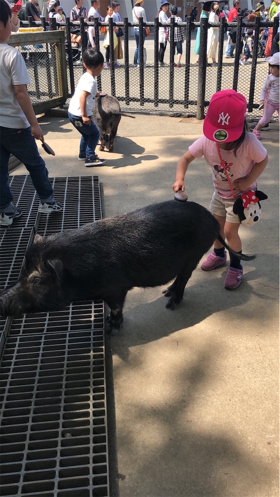 f:id:ricchan3838:20190506171410j:image f:id:ricchan3838:20190506171410j:image