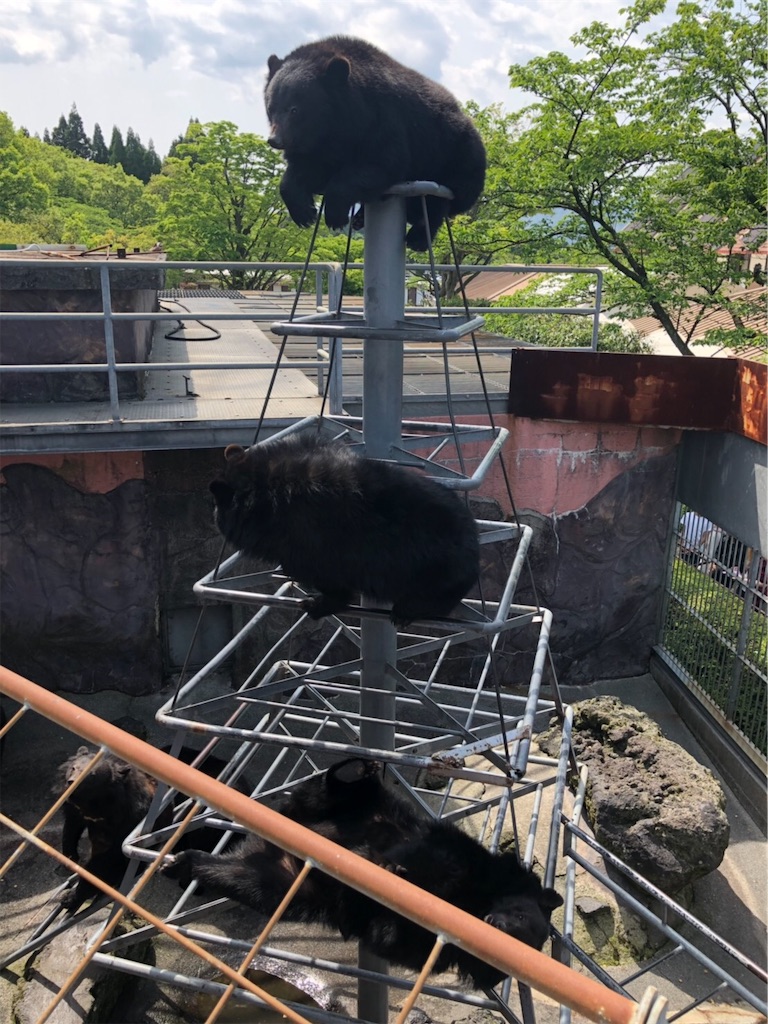 f:id:ricchan3838:20190506171420j:image f:id:ricchan3838:20190506171420j:image